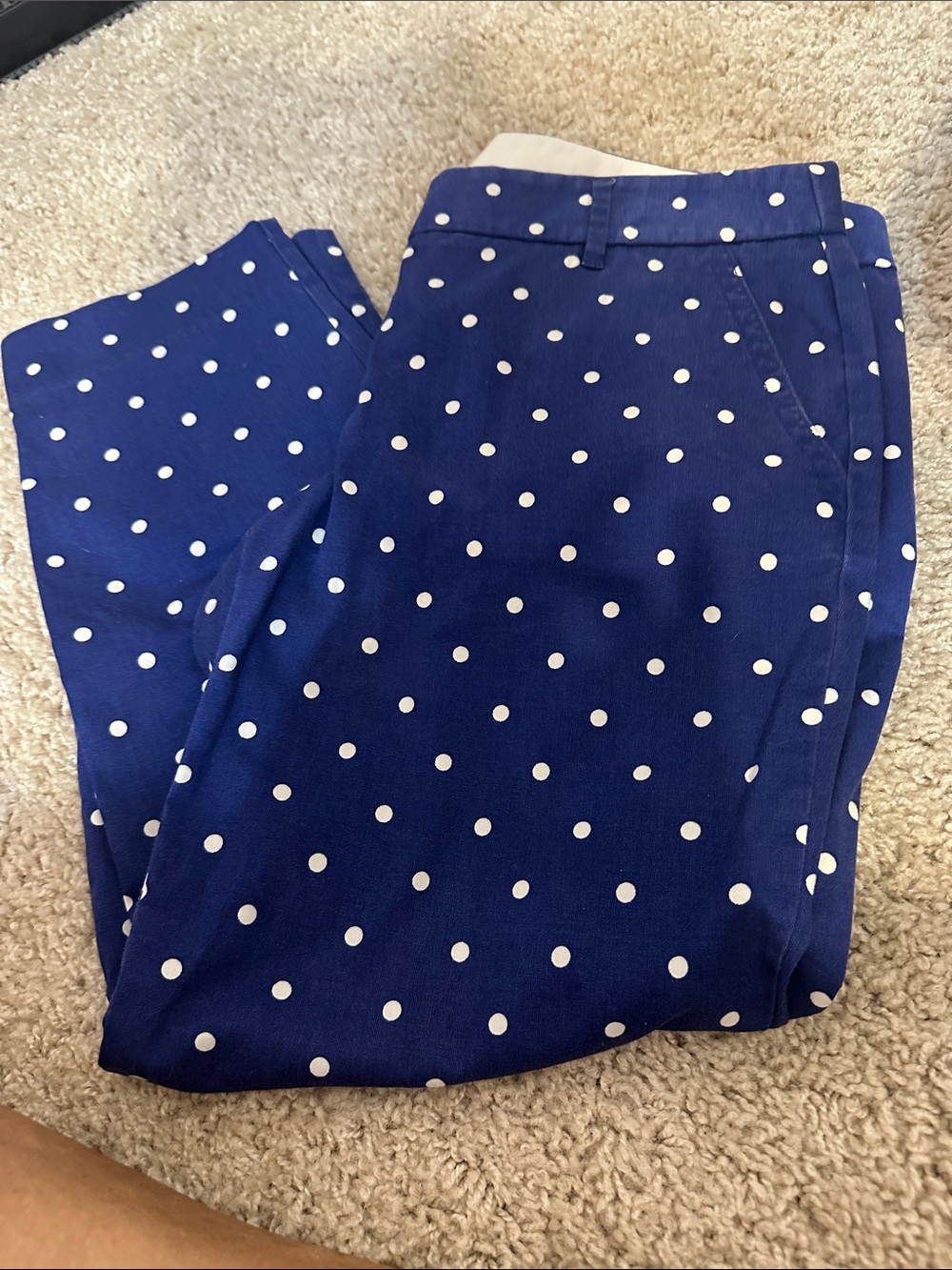 J. Crew Navy Blue Polka Dot Cropped Pants